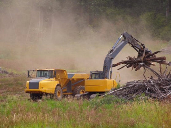 tree removal service eastover nc